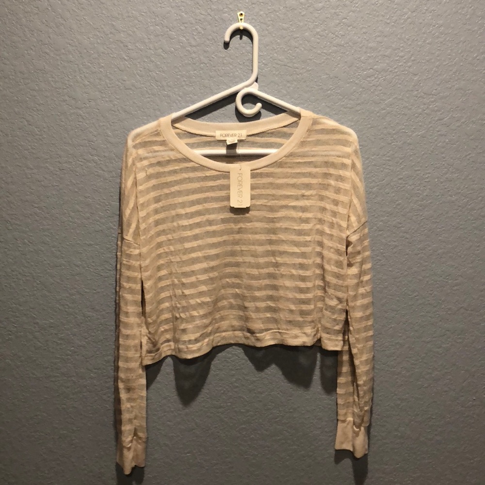 Sheer crop top